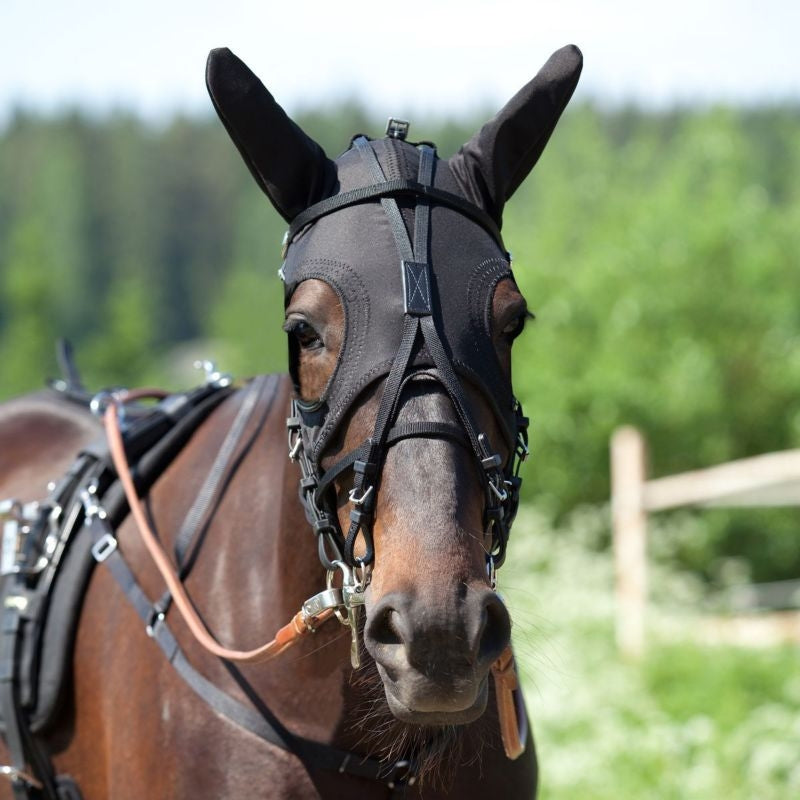 Finn Tack Face Hood with Ears Cob Black
