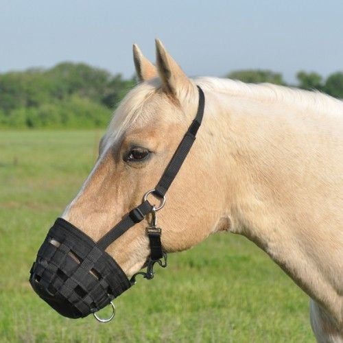 Cashel Grazing Muzzle Halter Arab/Sm Horse Black