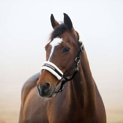Horze Howard Halter