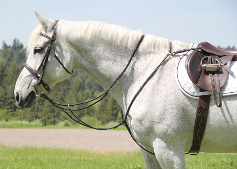 Silverleaf Squ Breastplate/Run Attach Cob Walnut