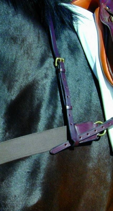Pro-Trainer 24K Neck Strap
