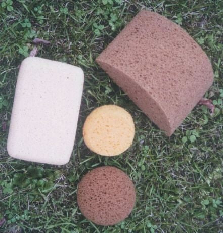 Hydra Round Tack Sponge 4.5