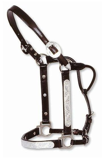Circle Y Engraved Show Halter Yearling Dark Oil