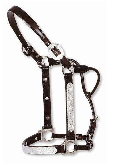 Circle Y Engraved Show Halter Yearling Dark Oil