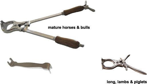 Piglet Emasculatome Castrator 9in