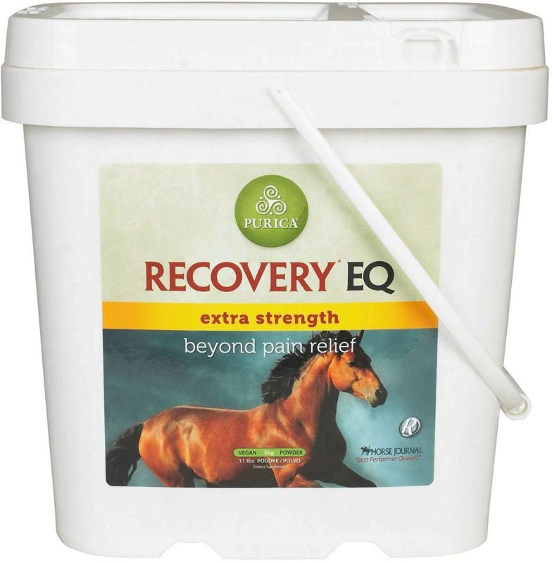 Recovery Eq Ex Strength With Ha 11 Lb