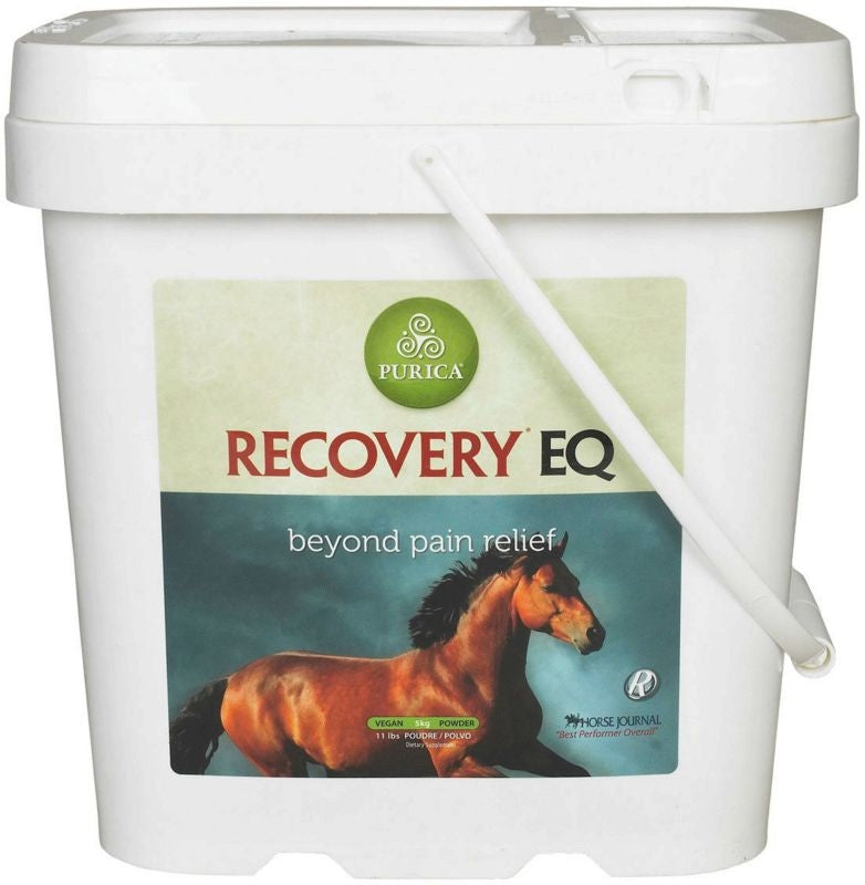 Recovery Eq 11lb