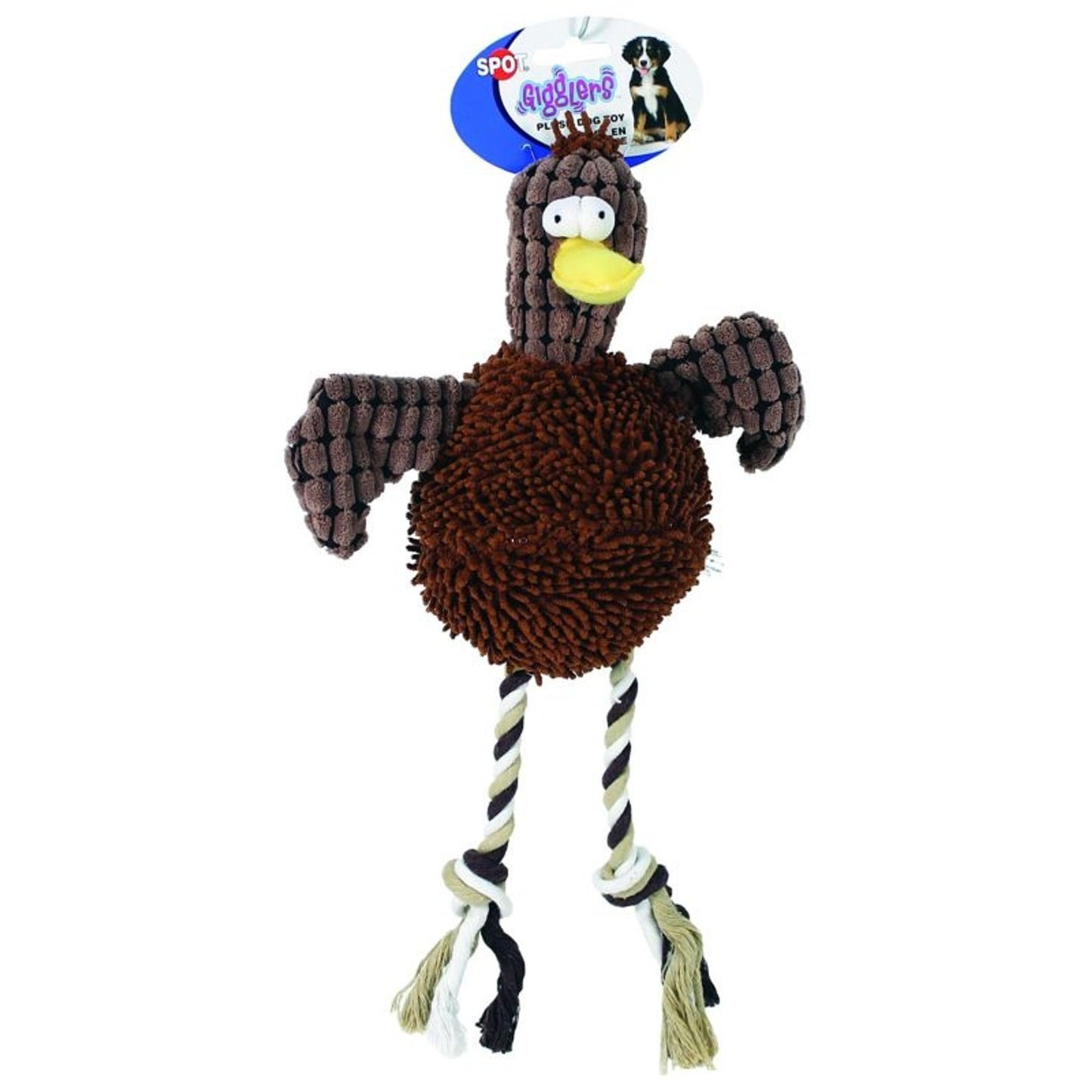 TH1312214.jpg