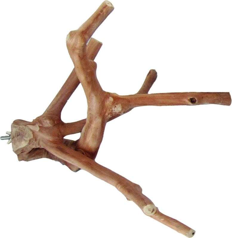 Java Wood Natural Multi Branch Bird Perch