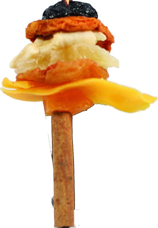 Happy Beaks Dried Fruit / Cin Skewer Bird Toy S