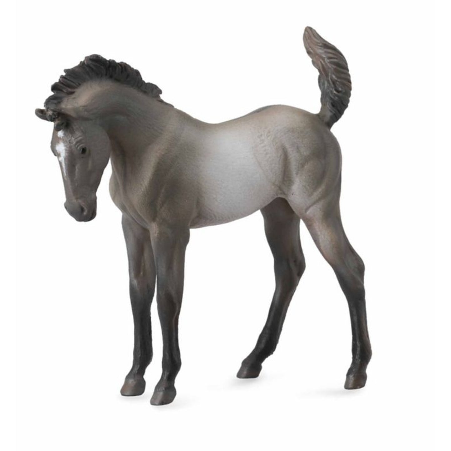 TH1328562.jpg
