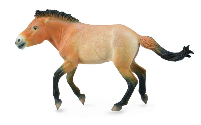 Breyer by CollectA Przewalski Stallion