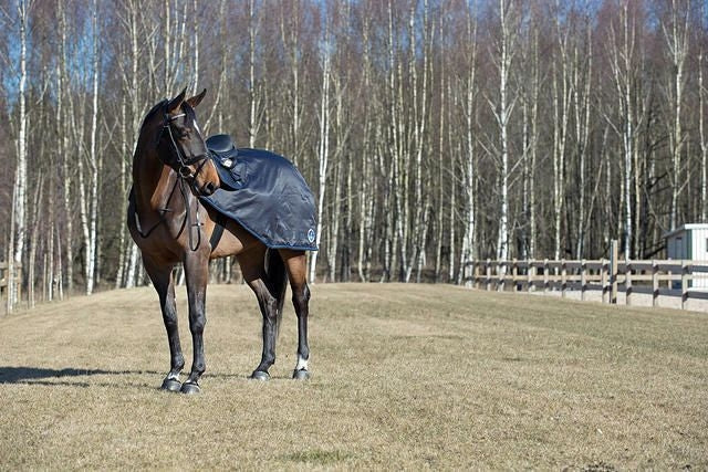 HorZe Supreme Avalanche Riding Sheet 66 Black