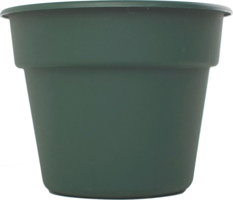 Bloem Dura Cotta Hanging Basket 12in Peppercorn