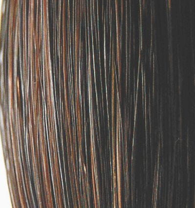 Trophy Tail Western 3-Way Tail Extension 1lb Black