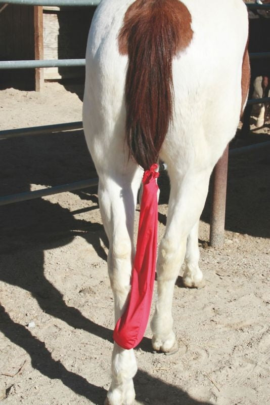 Tail Tamer Lycra Tail Bag Hot Pink
