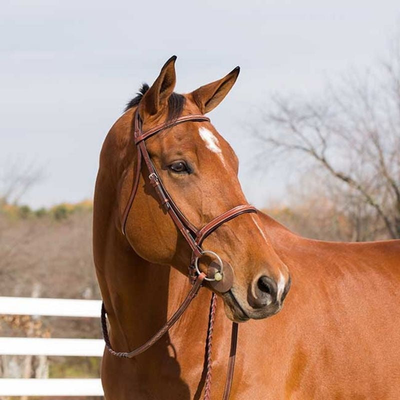 HorZe Champion Bridle Pony Light Brown