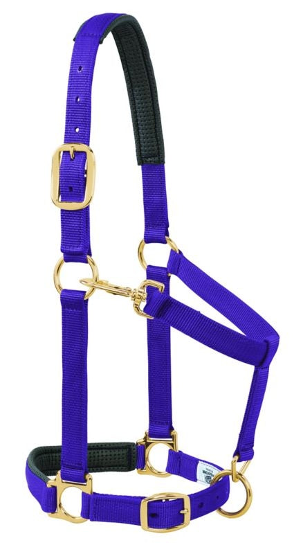 Solid Color Pad Adjust Chin/Throat Snap Halter