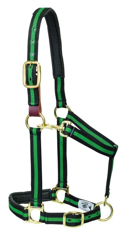Weaver Striped Padded Breakaway Halter