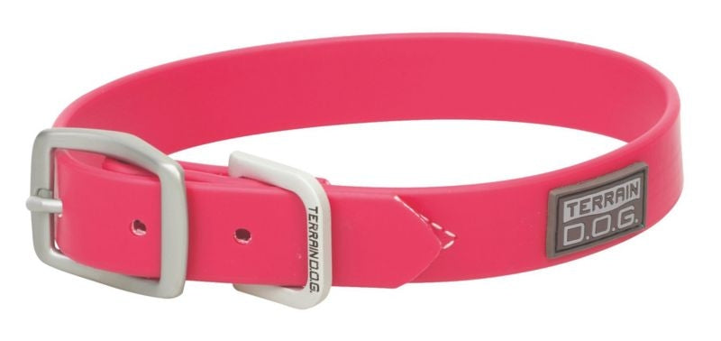 Weaver Dog Brahma Webb Collar