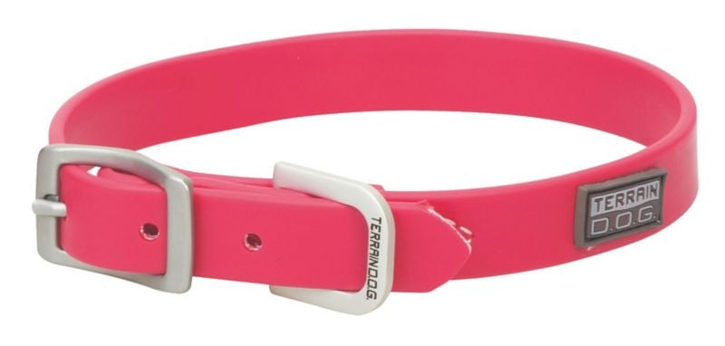 Weaver Dog Brahma Webb Collar
