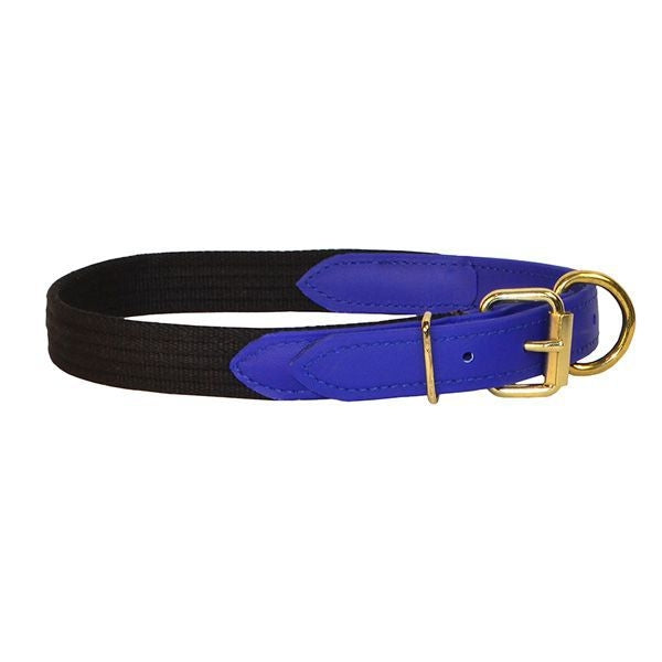 Perris Beta/Cotton Dog Collar LG Black Lime
