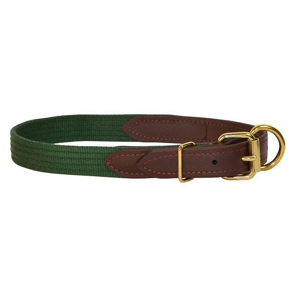 Perris Beta/Cotton Dog Collar LG Black Lime