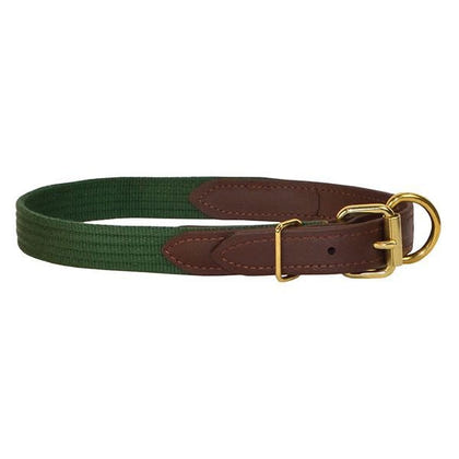 Perris Beta/Cotton Dog Collar LG Black Lime