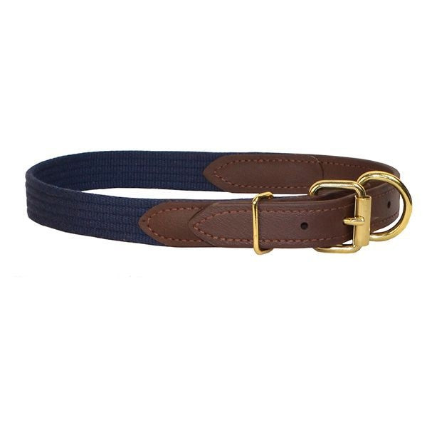 Perris Beta/Cotton Dog Collar LG Black Lime