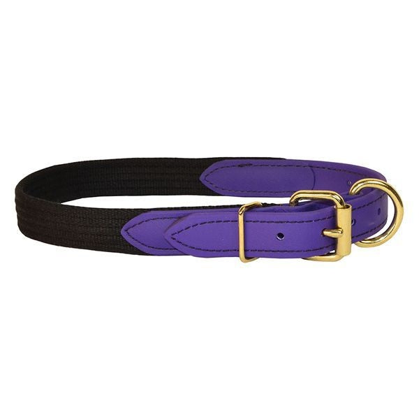 Perris Beta/Cotton Dog Collar LG Black Lime