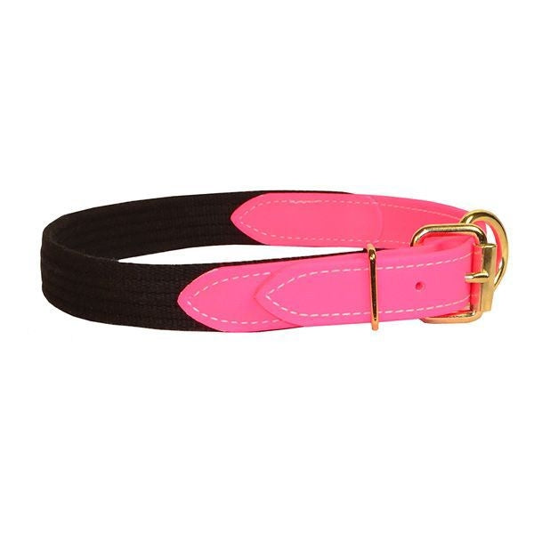 Perris Beta/Cotton Dog Collar LG Black Lime