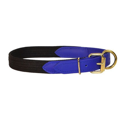 Perris Beta/Cotton Dog Collar LG Black Lime