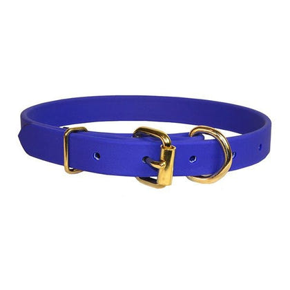 Perris Beta Dog Collar LG Blu