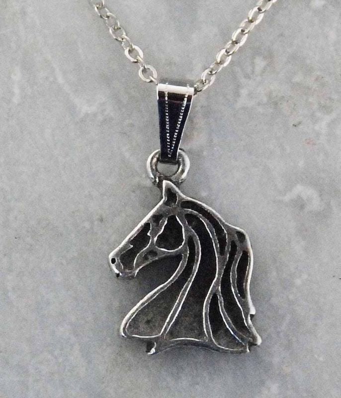 Western Edge Free Form Horeshead Necklace Rhod