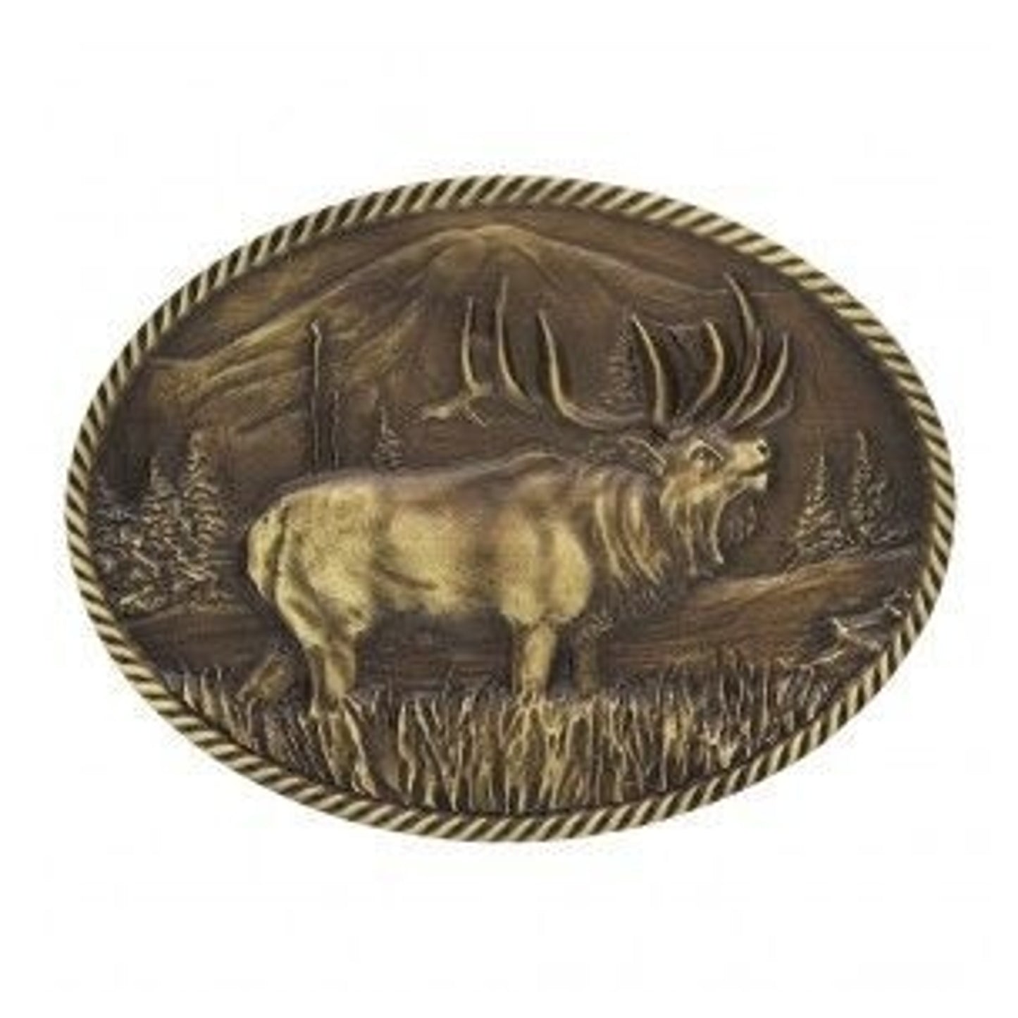 TH1403765.jpg
