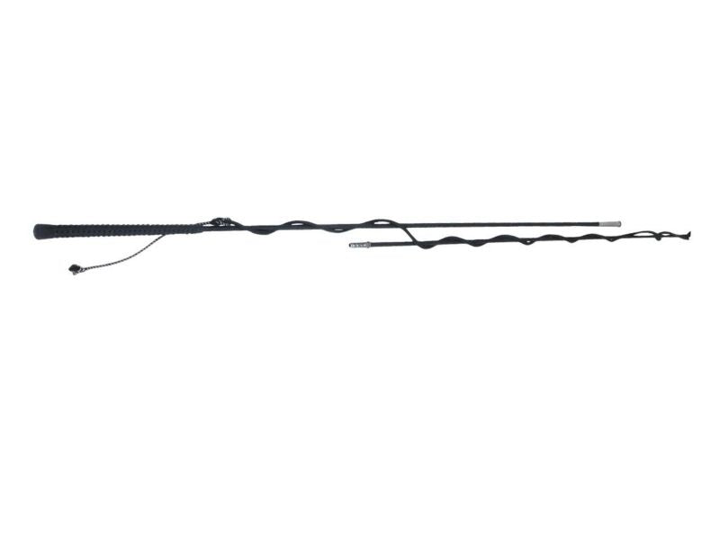 Dublin Two-Piece Lunge Whip