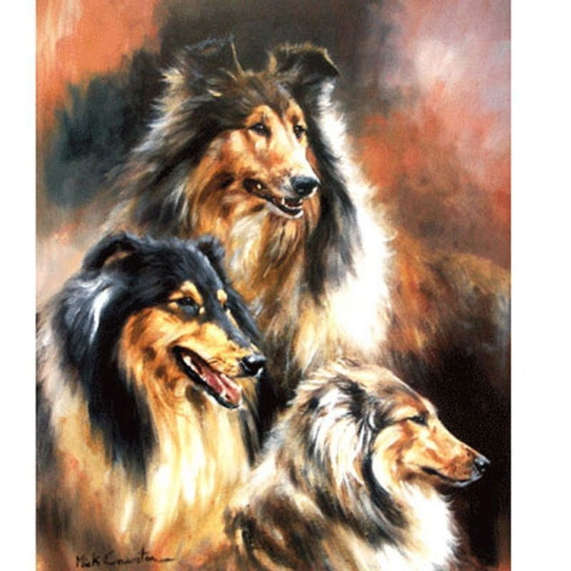 Sally Mitchell Fine ArtThe Rough Collie