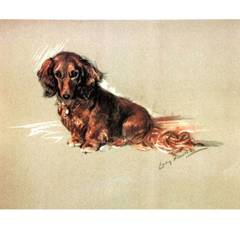Porter Fine Art Dog Prints Robin