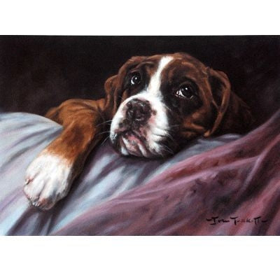 Sally Mitchell Fine Art Dog Am I Forgiven Yet