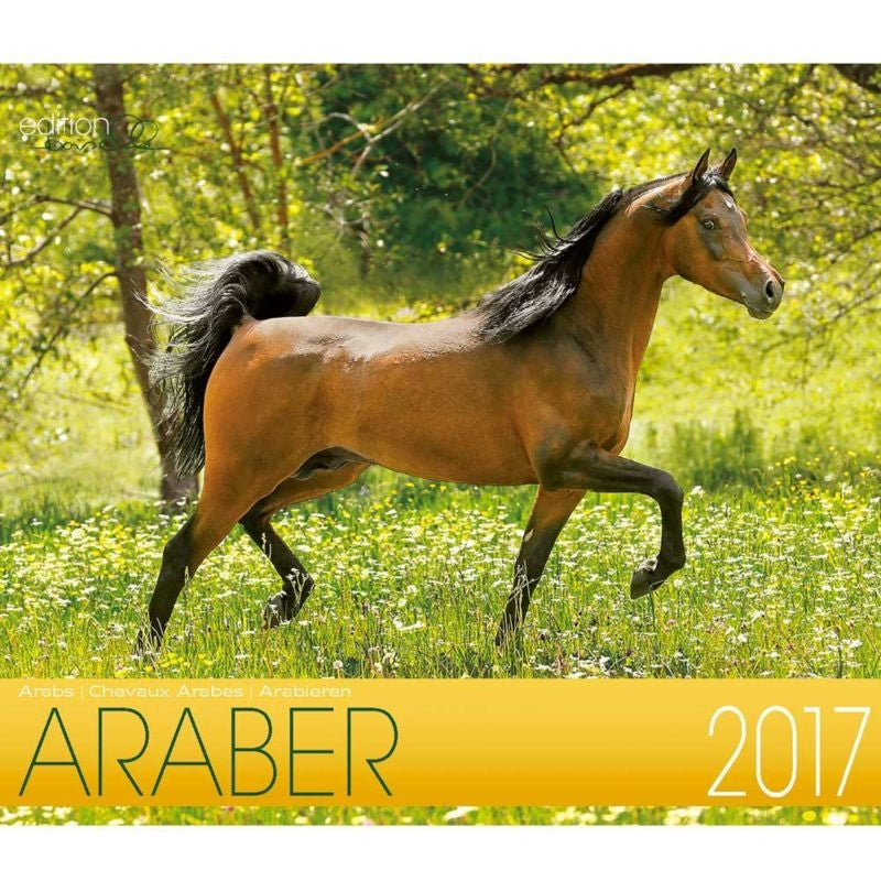 Boiselle Mid Sized Calendar Arabian - 2017