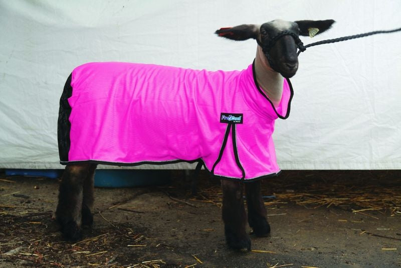 ProCool Mesh Sheep Blanket