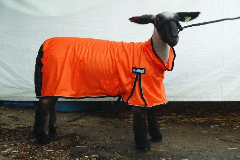 ProCool Mesh Sheep Blanket