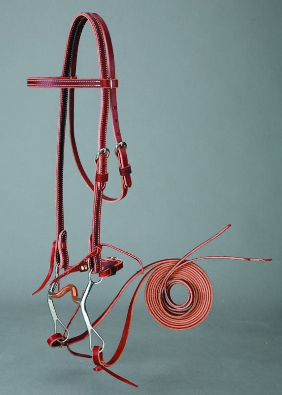 Colorado Latigo Browband Bridle Set with Curb Bit