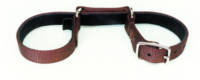 Colorado Saddle Saddle Horse Web Hobbles