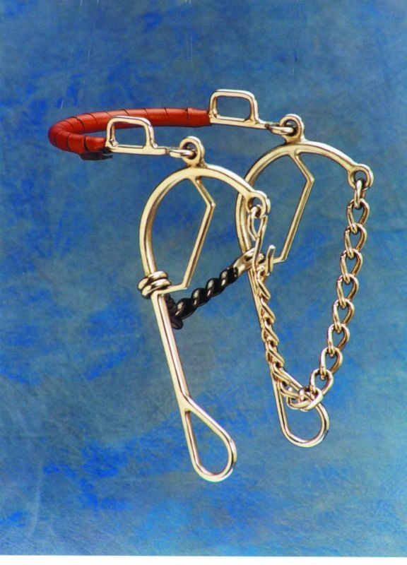 Short Shankd Gag Hackamore Combo Bit 5 Stainsteel