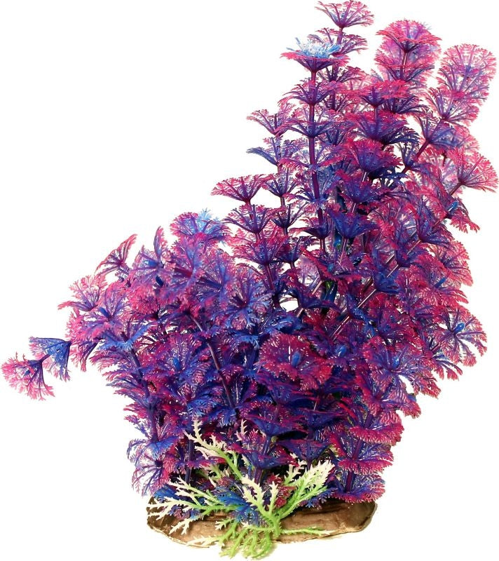 Poppy Pet Bushy Ambuila Aquarium Plant Blue