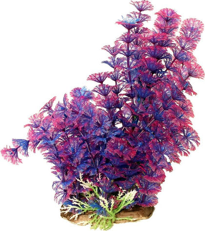 Poppy Pet Bushy Ambuila Aquarium Plant Blue