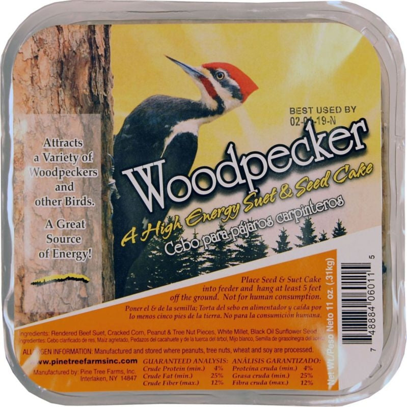 Pine Tree Birdwatchers Best Suet Cake Woodpecker