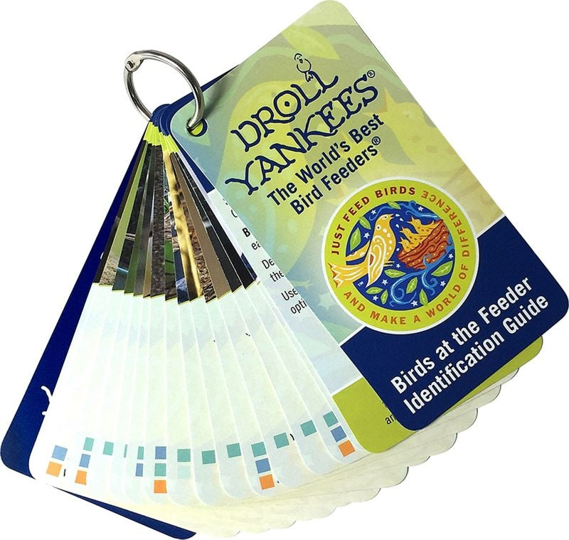 Droll Yankees Bird Feeder Identification Guide