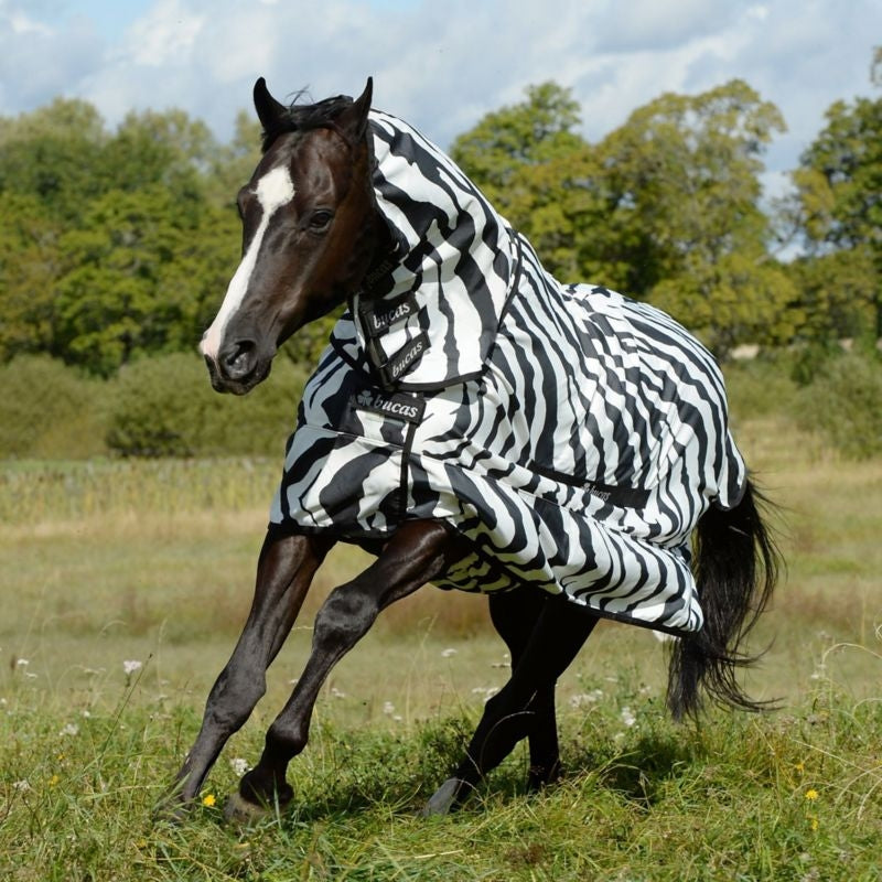 Bucas Sweet Itch Zebra Full Neck Sheet 60 Zebra